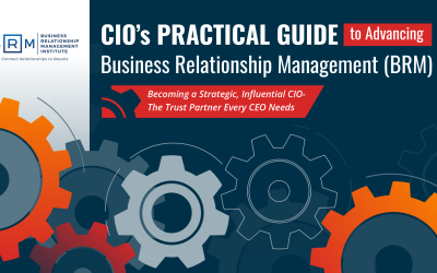 The CIO’s Practical Guide to Advancing BRM