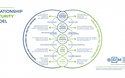Business Relationship Manager (BRM) Metrics Example