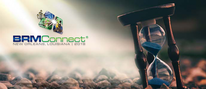 BRMConnect Pre-Early Bird
