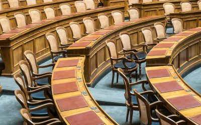Where Mission Meets Technology: The Quiet Power of Public Sector BRMs